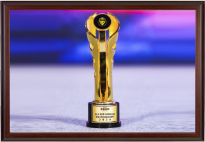 第十四屆金蟬獎(jiǎng)“2020年度上市公司品牌獎(jiǎng)”